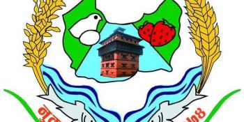 महोत्सवको तयारी तीव्र