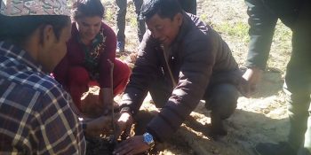 बेलकोटगढीमा किवी खेतीका लागि नगरपालिकाको बजेट