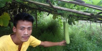 गुगलबाटै व्यवसायिक तरकारी खेती