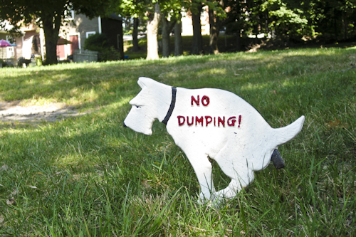 dog dumping