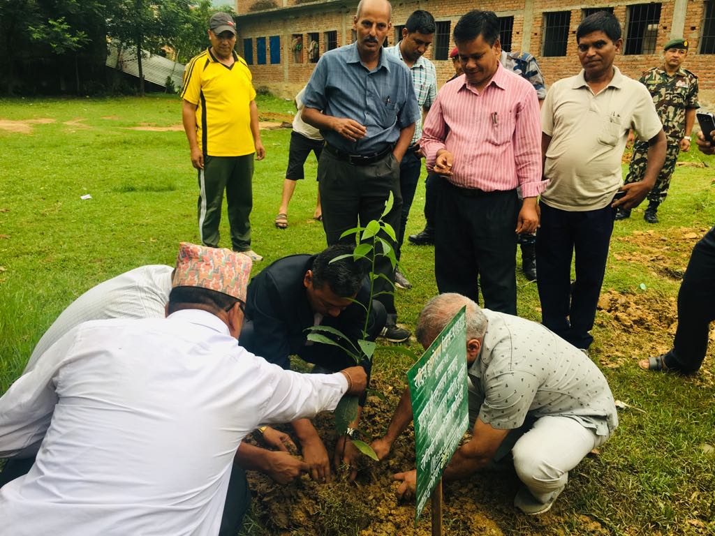 tree plantation santaman tamang chief guest
