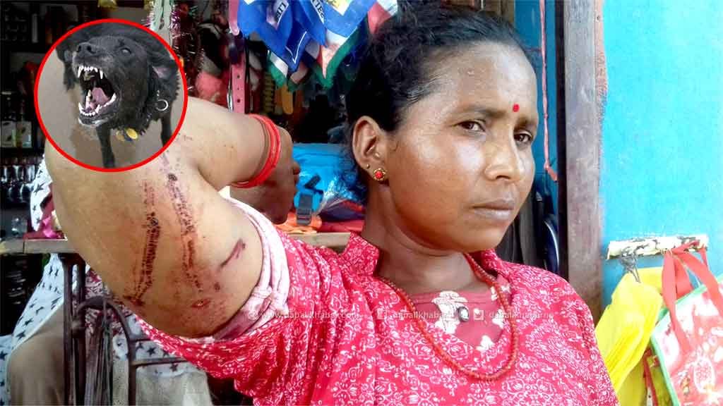 dog attack injury goma bika nuwakot suryagadhi rural municipality falate nuwakot