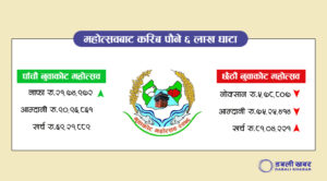 nuwakot mahotsav financial statement dabali khabar tws