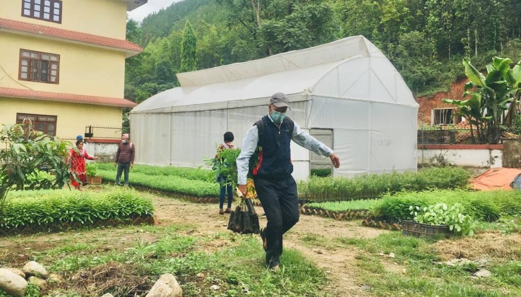 A farmer carrying a plant in Division Forest Office Nuwakot