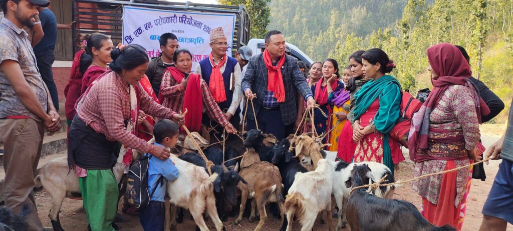 goat distribution GFN