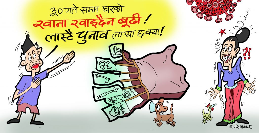 23 gate Baishak cartoon 2079 color copy