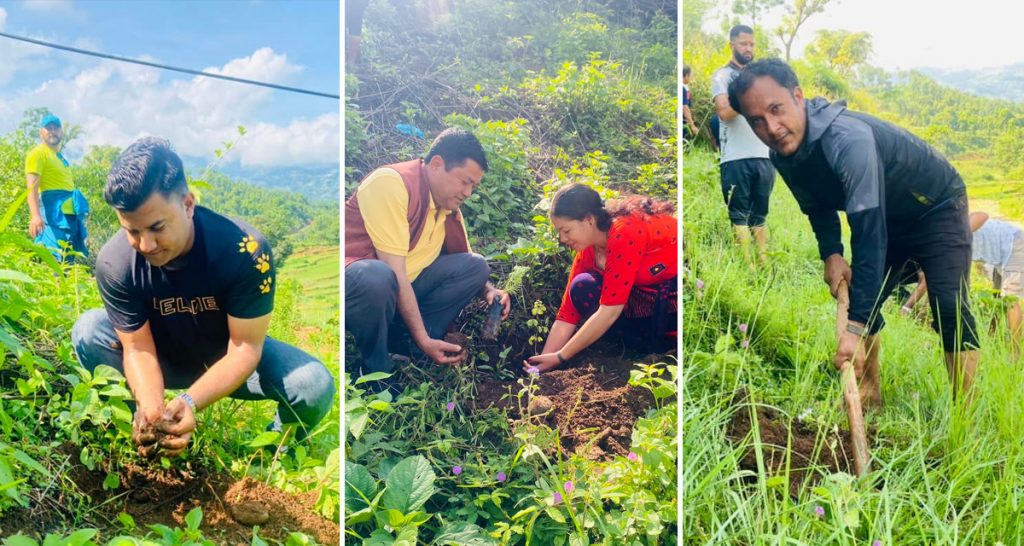 national youth nuwakot plantation