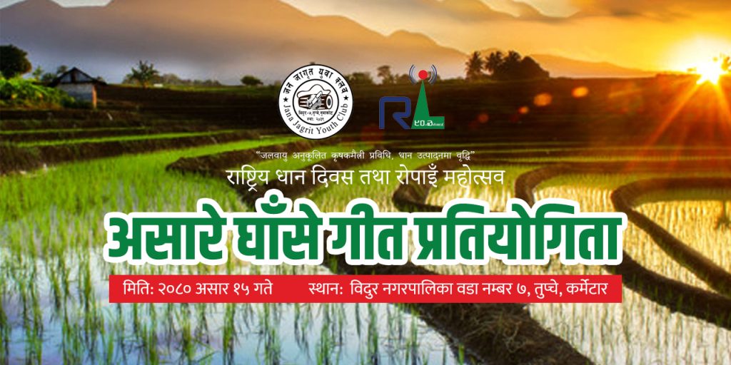 asare ghaanse dhaan diwas nepal dabali khabar trishuli web nuwakot