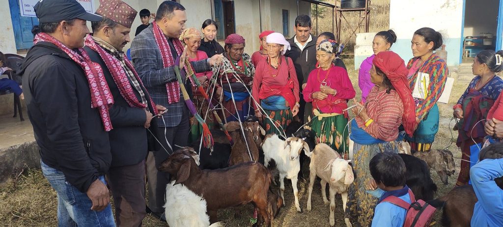 dr bhim lal tamang provide goat to farmer
