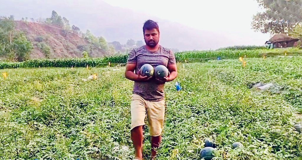 sundar nepal fruit tarabuja field in nuwakot