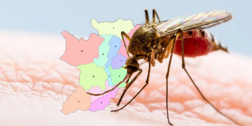 dengue patient infection in Bidur municipality