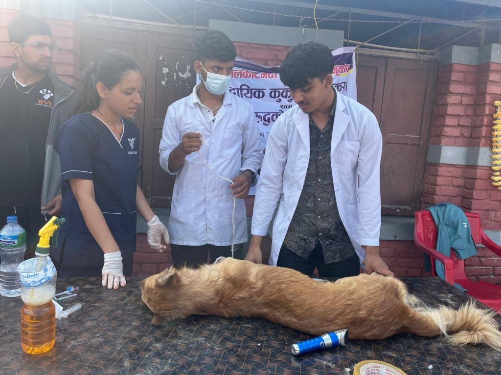 belakotgadhi municipality Community Dog Rabij Planning