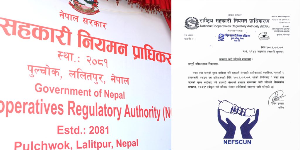 nefscun letter