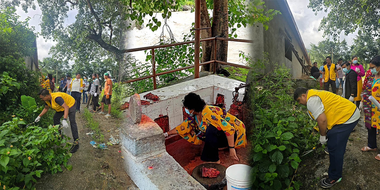 lions' year 2025 in weekly program