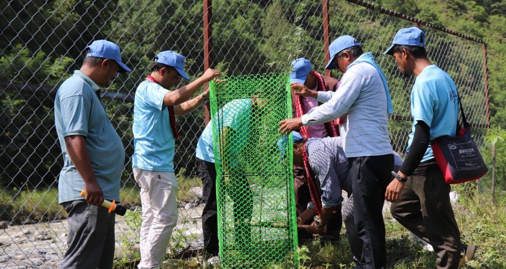 plantation in Betrawati Nuwakot