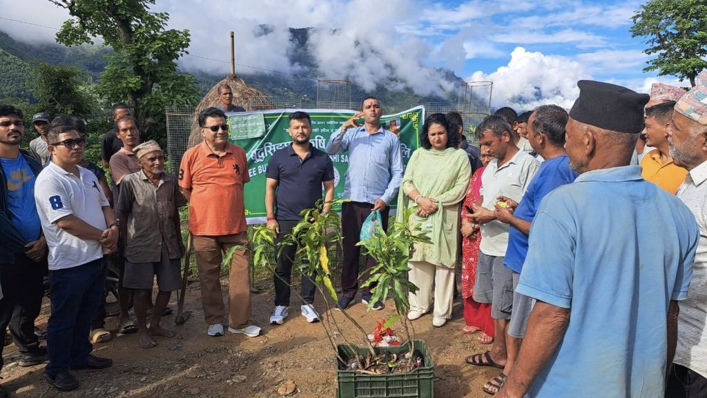plantation