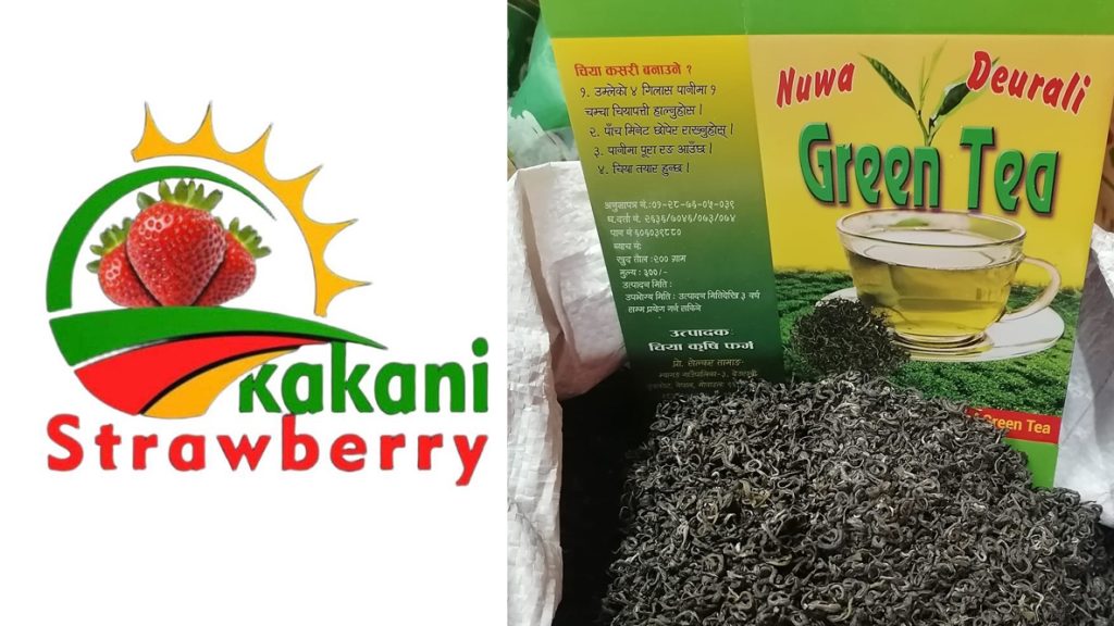 kakani strawberry Nuwa Deurali Tea Nuwakot