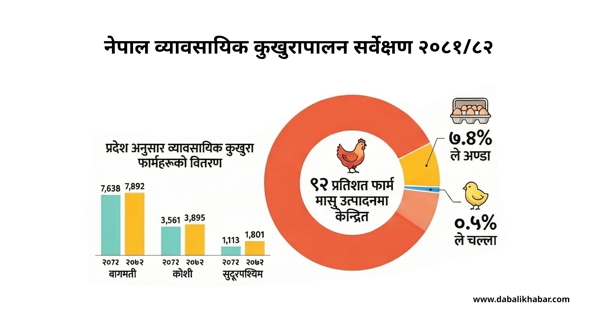नेपालमा व्यावसायिक कुखुरापालन २२ हजार ९२८ फार्महरू, सबैभन्दा धेरै बागमतीमा