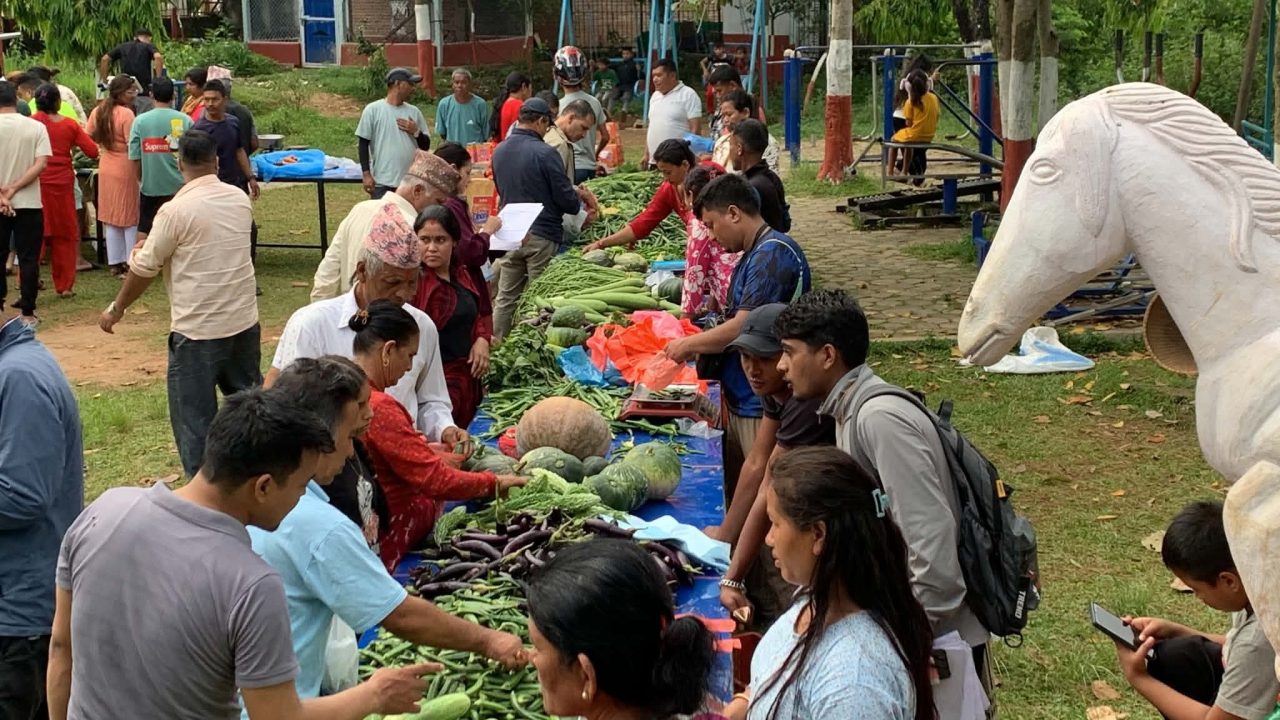 76 percent economic census completed in Nuwakot