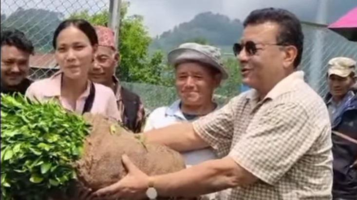 हरियो नुवाकोट अभियान: गाउँगाउँमा सुन्तला–कागतीका बिरुवा, १४ हजार ४६५ वटा बिरुवा वितरण